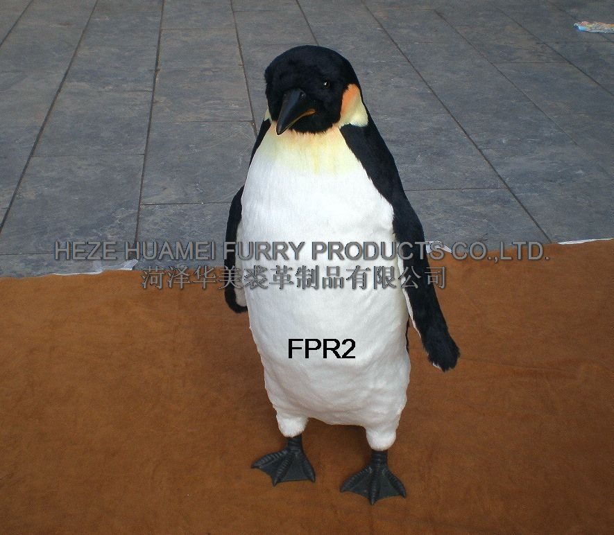 FPR2,øƷ޹˾רҵƤë
